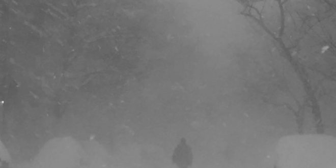 Cashmere Cat Wild Love