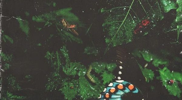 Desiigner Ft. Gucci Mane Liife