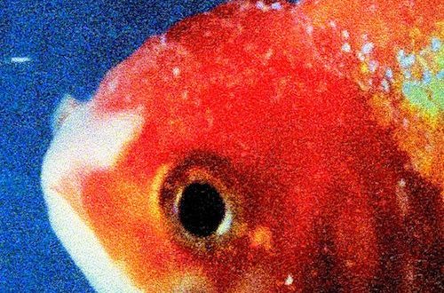 Vince Staples Big Fish Theory