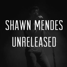 Shawn Mendes What If I Told You A Story