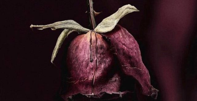 Chris Jeday J Balvin Ozuna Ahora Dice Real Hasta La Muerte Remix