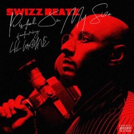 2Swizz Beatz feat. Lil Wayne Pistol On My Side