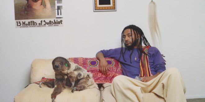 Amine - 13 Months of Sunshine