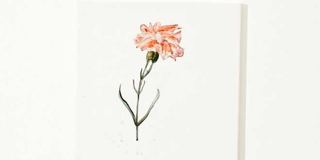 Asher Roth - Flowers On the Weekend