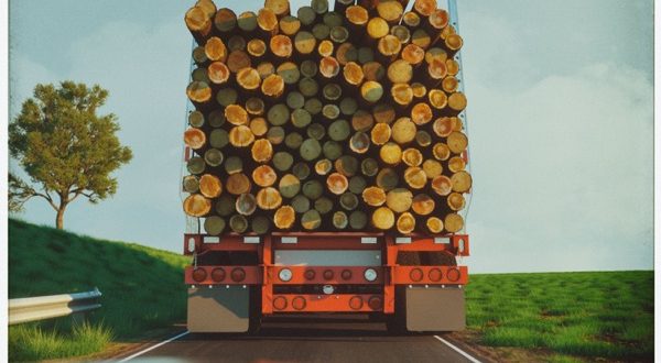 B.o.B - Somnia (2020)