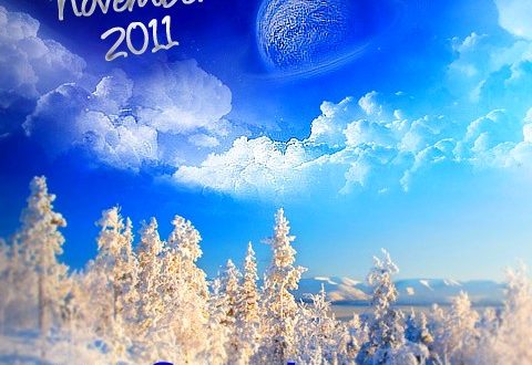 Best Of November 2011