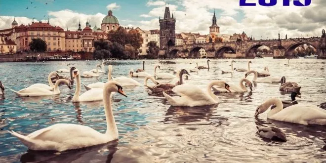 Best of December 2019