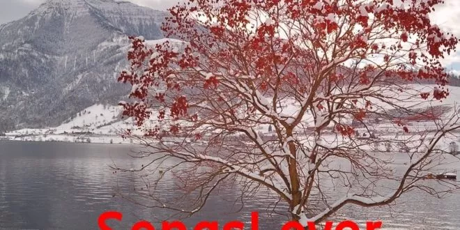 Best of October 2019