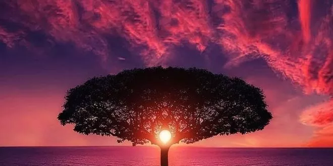 Best of September 2019