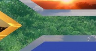 Best of South Africa Top 20