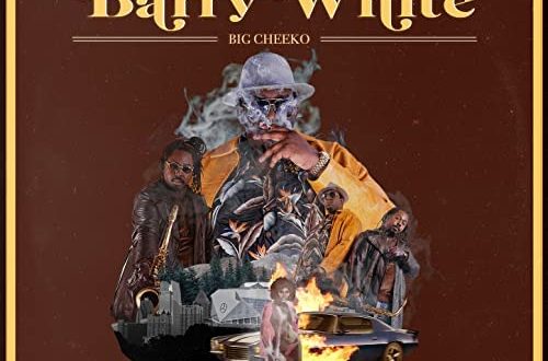 Big Cheeko Block Barry White