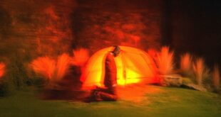 Camper - CAMPILATION