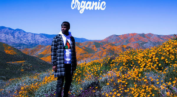 Casey Veggies - Organic
