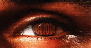 Chris Brown - Obvious [E]