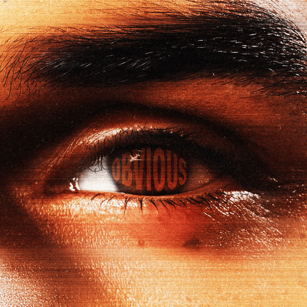 Chris Brown Obvious