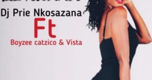 DJ Prie Nkosazana Lenduku ft Boyzee Vista DJ Catzico