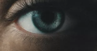 David Guetta - Human