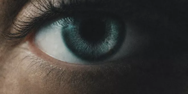 David Guetta - Human