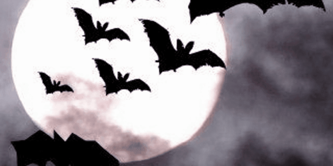 Destroy Lonely - Sometimes U Lose