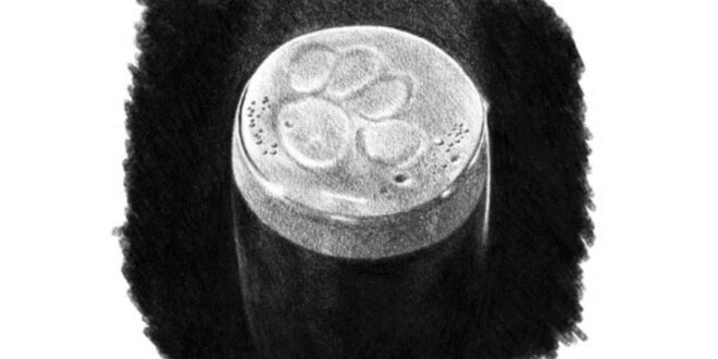 Ed Sheeran - Drunk (Remixes) - EP - 2012