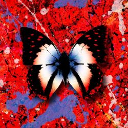 Ed Sheeran – 2step feat. Lil Baby