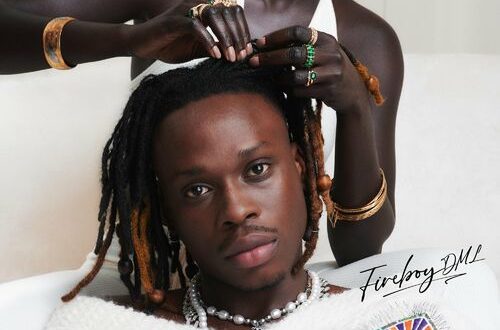 Fireboy DML Playboy 2022
