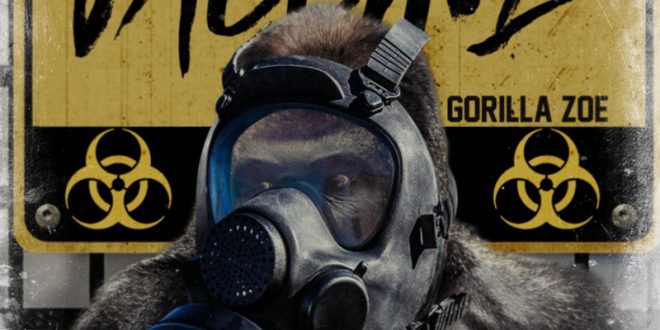 Gorilla Zoe - VACCINE