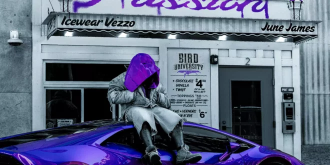 Icewear Vezzo - Purple Passion [E]
