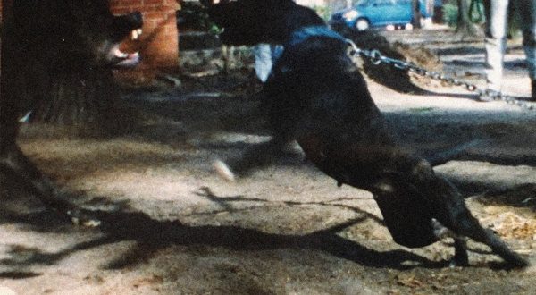 J. Cole - Lewis Street - Single