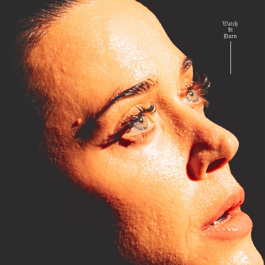 Katy Perry Watch It Burn