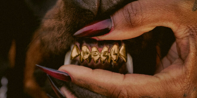 Leon Thomas - MUTT Deluxe - HEEL