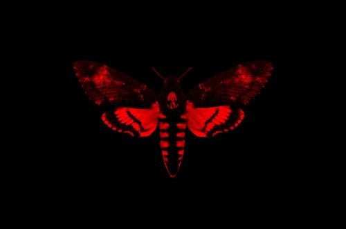 Lil Wayne - I Am Not A Human Being II (Deluxe Edition) (2013)