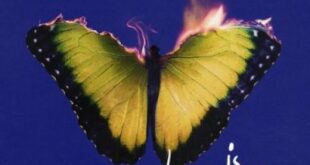 Maroon 5 - Love Is Like