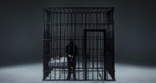 NF - Perception (2017)