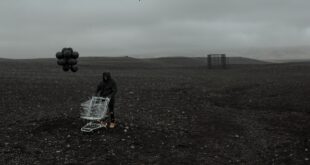 NF - The Search (2019)