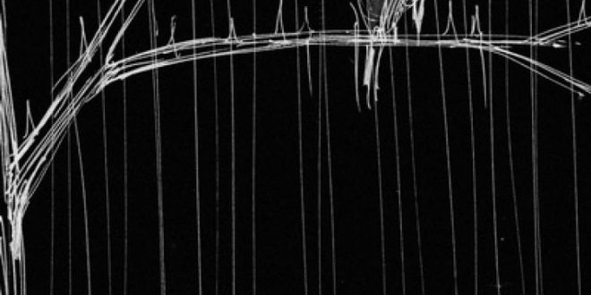 Of Mice Men Bloom Single