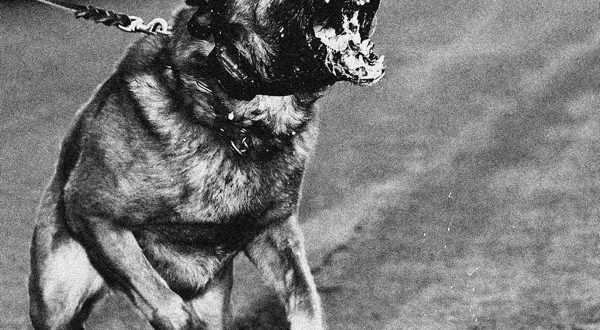 Oliver Francis VIOLENCE