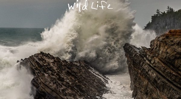 OneRepublic Wild Life
