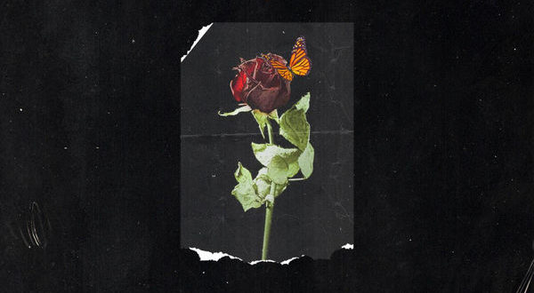 Phora Bury Me With Dead Roses