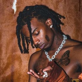 Playboi Carti No Charm