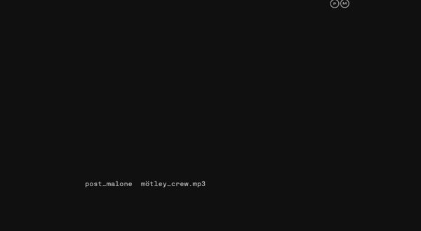 Post Malone Motley Crew