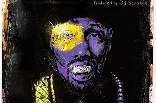 RZA DJ Scratch Saturday Afternoon Kung Fu Theater Deluxe Video Album