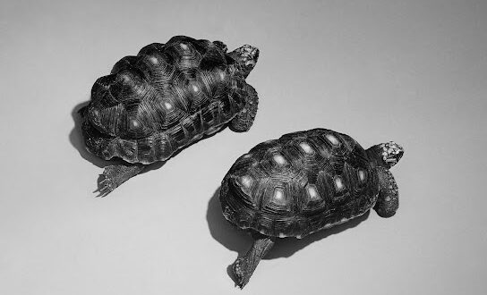 Sam Smith - Love Is A Stillness