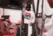 Smoke DZA – Road Trip to Amsterdam [E]