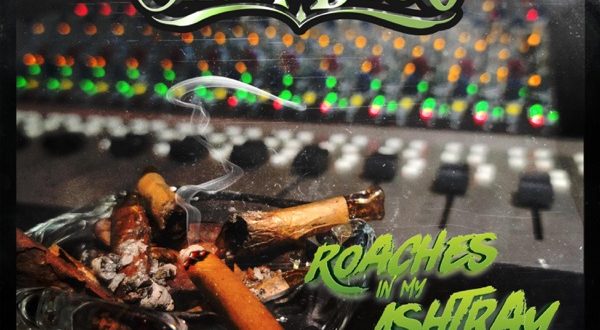 Snoop Dogg Roaches In My Ashtray feat. ProHoeZak