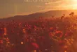 Teyana Taylor – Bed of Roses feat. Wale