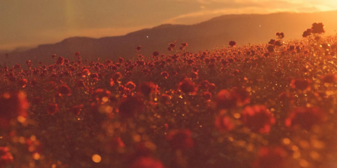 Teyana Taylor - Bed of Roses feat. Wale
