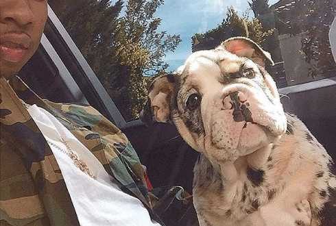 Tyga Dog
