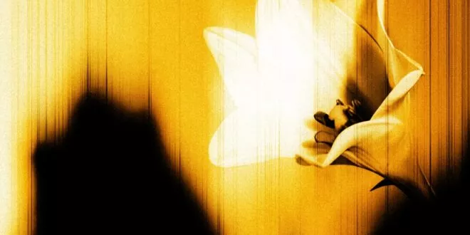 U2 – Easter Lily [EP]