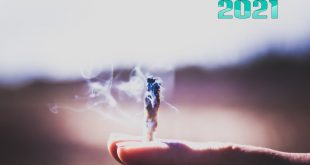 Various Artists Best of February 2021